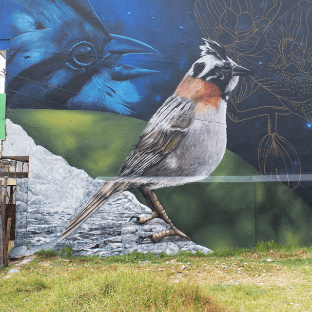 muro-Hologramas-Locales-2024