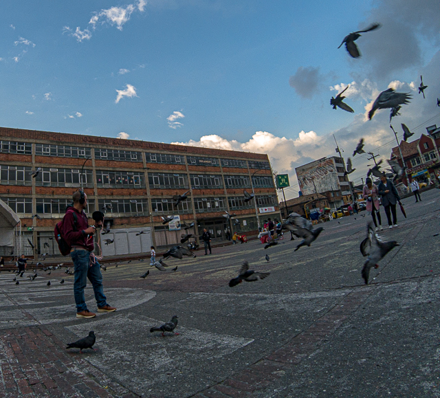 proceso Holofonias Hologramas locales 2024-2