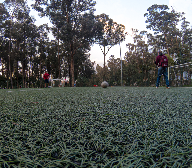 proceso Holofonias Hologramas locales 2024-4